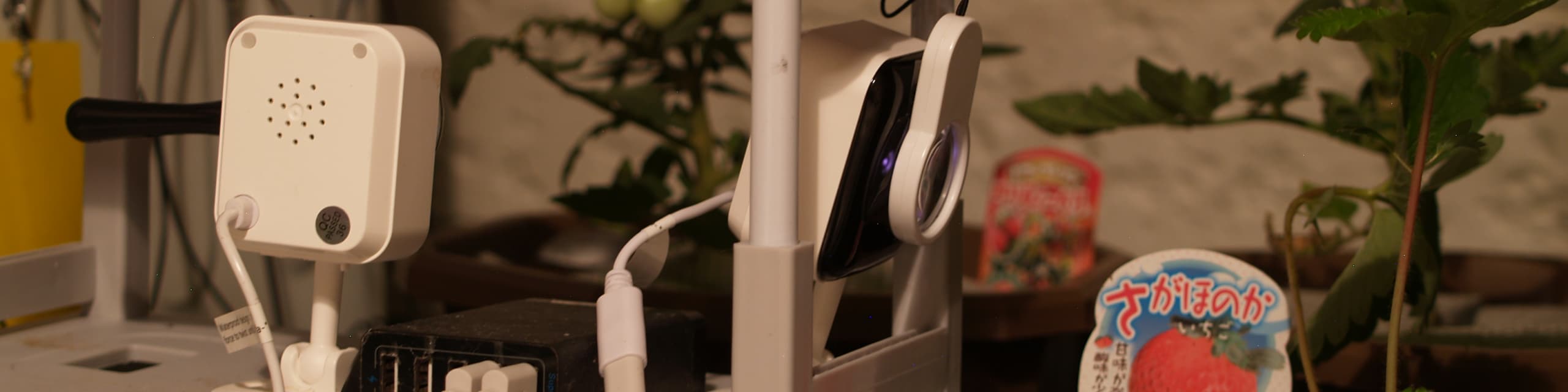 ベランダ菜園IOT化