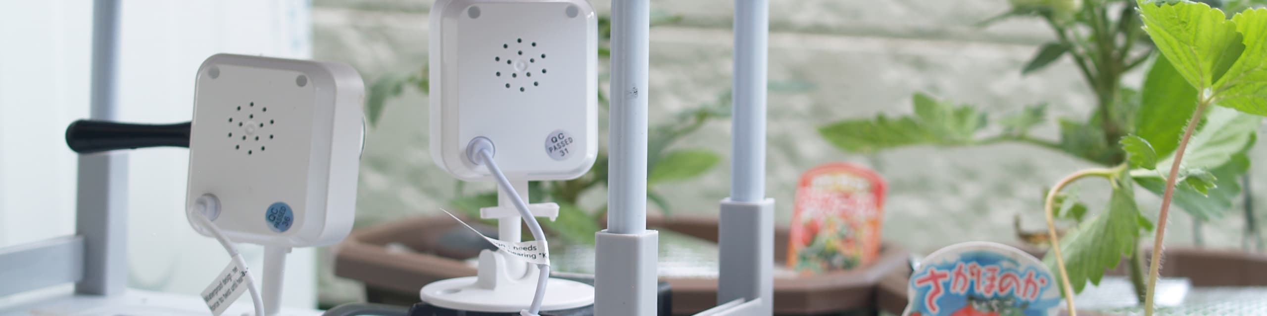 ベランダ菜園IOT化